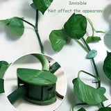 Plant Climbing Wall Clip, Self-Adhesive Vines Support Hooks for Indoor Outdoor Use (10 Pcs Set)