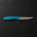 Professional Stainless Steel Paring Knife