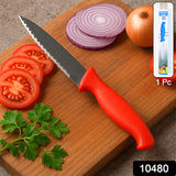 Stainless Steel Serrated Kitchen Knife (1 Pc)