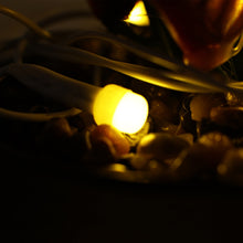 Decorative LED Wire Lights